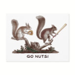 Go Nuts Rally Squirrel Greetings from St. Louis! postcards