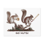 Go Nuts Rally Squirrel Greetings from St. Louis! Post Card
