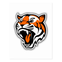 GO TIGERS! POST CARDS