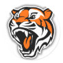 GO TIGERS! STICKERS