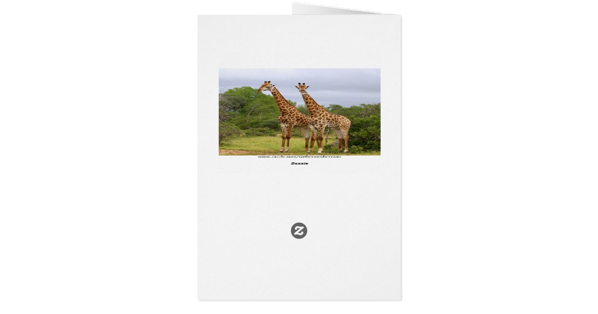 Go Wild Happy Birthday Giraffes Card Zazzle