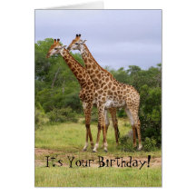 "Go Wild" Happy Birthday Giraffes Card
