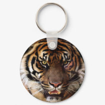 Go Wild Tiger keychains