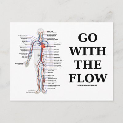 circulatory system pictures. Flow (Circulatory System
