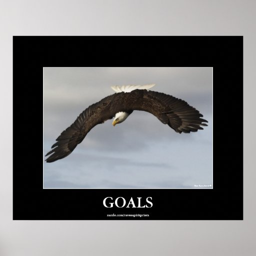 GOALS Bald Eagle Motivational Poster