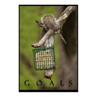 GOALS Inspirational Funny Squirrel Poster Print print