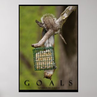 GOALS Inspirational Funny Squirrel Poster Print print