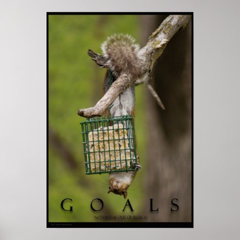 having GOALS wanting desire Inspirational Funny Squirrel Poster Print