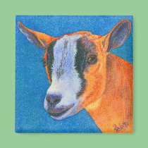 Goat #2 Magnet - Pygmy Goat magnets
