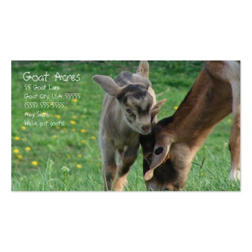 Goat Acres Business Card Template (front side)