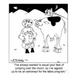 Goat Astronauts posters