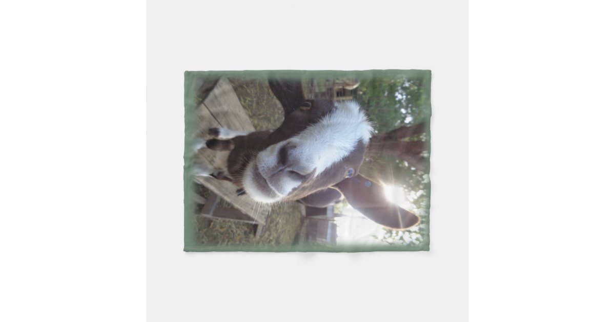 Goat Barnyard Farm Animal Fleece Blanket Zazzle