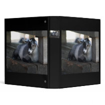 Goat Binder