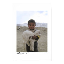 Goat Boy - Photo of the Year Category Winner posters