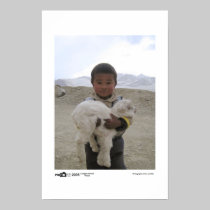 Goat Boy - Photo of the Year Category Winner posters