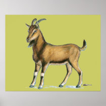 Goat:  Brown Poster