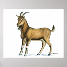 Goat:  Brown Print