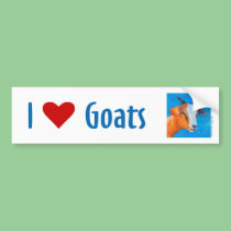 Goat Bumper Sticker bumper stickers