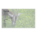 Goat Business Card Template