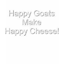 Goat Cheese T-shirt for Ladies Casual Scoop Tee by getyergoat Goat Cheese T-shirt for Ladies Casual Scoop Tee
