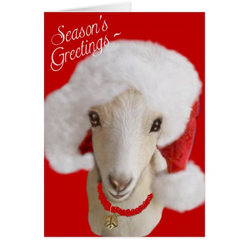 Goat Christmas Cards, Goat Christmas Card Templates, Postage