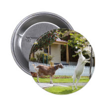 Goat Eating From Tree Pinback Button