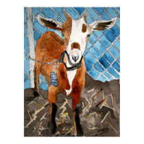 goat farm animal pet watercolor painting art print