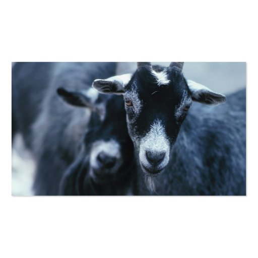 Goat Farmer Business Card (back side)