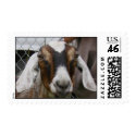 Goat goes postal postage