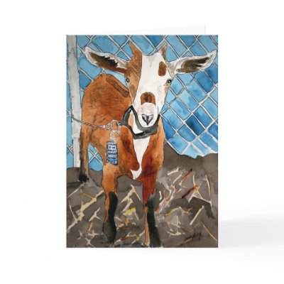 goat greeting card farm animals pets by dereklovessheila