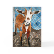 goat greeting card farm animals pets