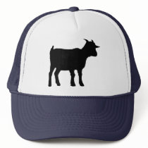 Goat Hats