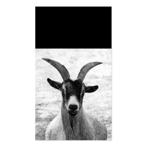 Goat Head Business Card Templates (front side)