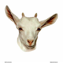 Goat Head photo sculptures