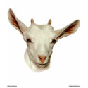 Goat head t-shirts