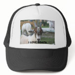 goat, I LOVE GOATS