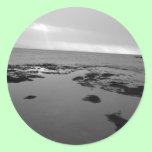 Goat Island Tidal Rockpools stickers