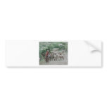 Goat Lady, Ravna Gora Bumper Stickers