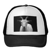 Goat Mesh Hat