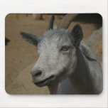 Goat Mouse Pads
