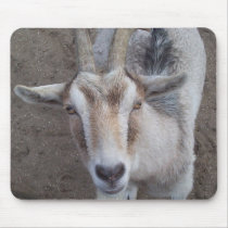 Goat mousepads
