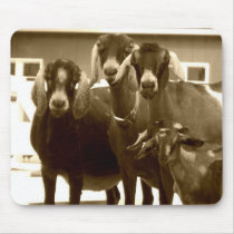 Goat Mousepad by jasminesphotography Goat Mousepad