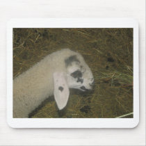 goat mousepads by veggieeater goat mousepads