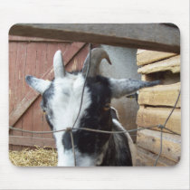 goat mousepads by dan007 goat mousepads