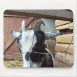 goat mousepads