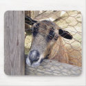 Goat mousepads by APeach Goat mousepads