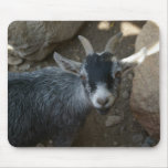Goat Mousepads