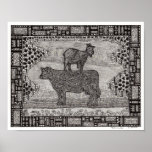 Goat on a Cow Poster