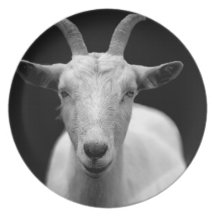 Goat Party Plate
