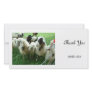 Goat Photo Greeting Card